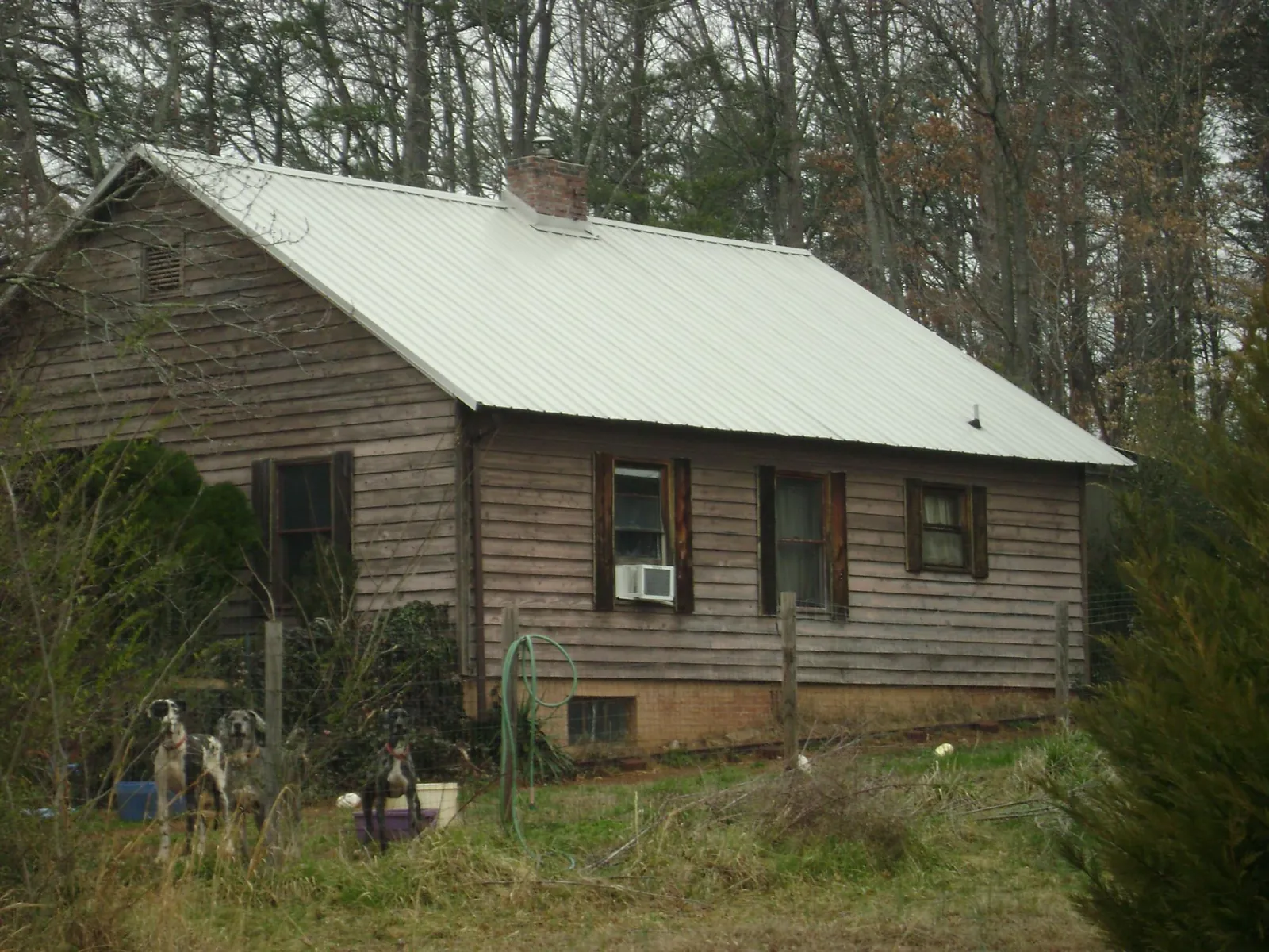 White metal roof on an old wood sided farmhouse, from a Metal Roof Installation job in Reedsport